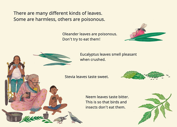 Page from So Many Leaves